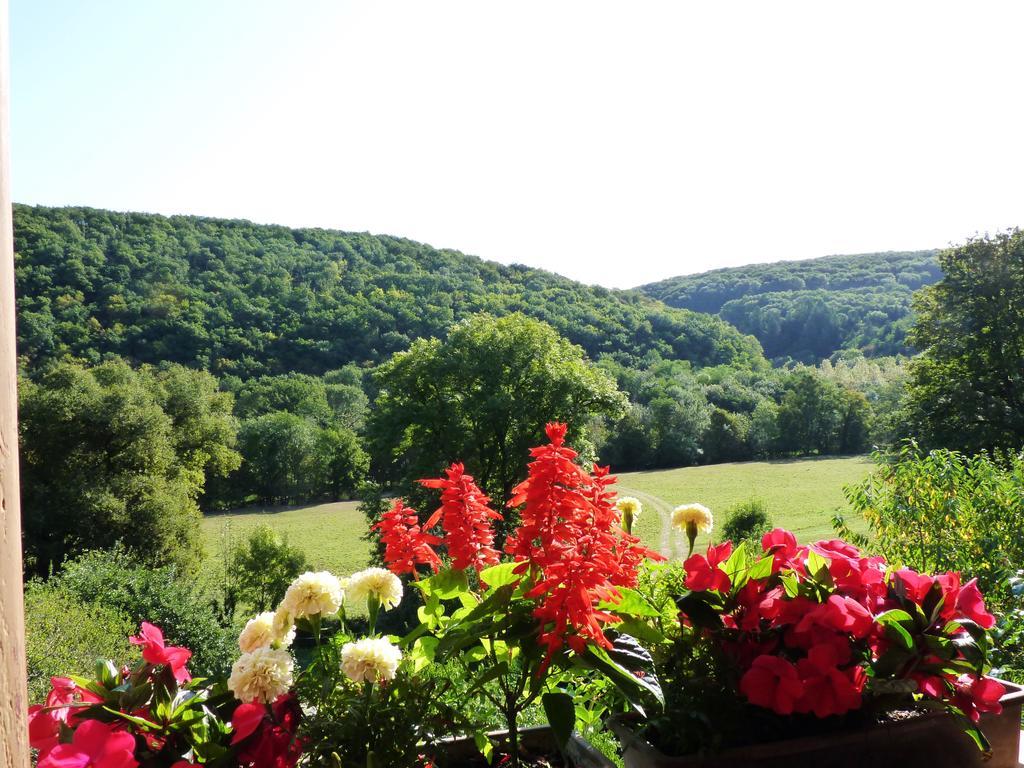 La Maison De Cure Otel Domecy-sur-Cure Dış mekan fotoğraf